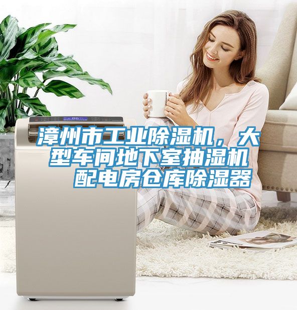 漳州市工業(yè)除濕機(jī)，大型車間地下室抽濕機(jī)  配電房倉庫除濕器