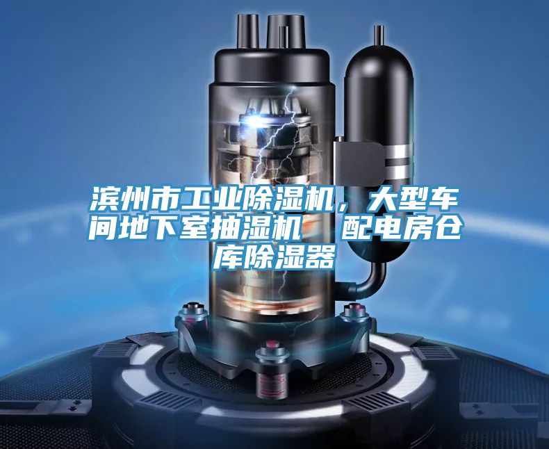 濱州市工業(yè)除濕機，大型車間地下室抽濕機  配電房倉庫除濕器