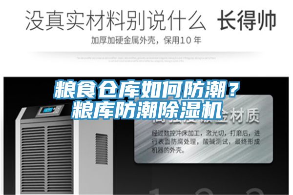 糧食倉(cāng)庫(kù)如何防潮？糧庫(kù)防潮除濕機(jī)