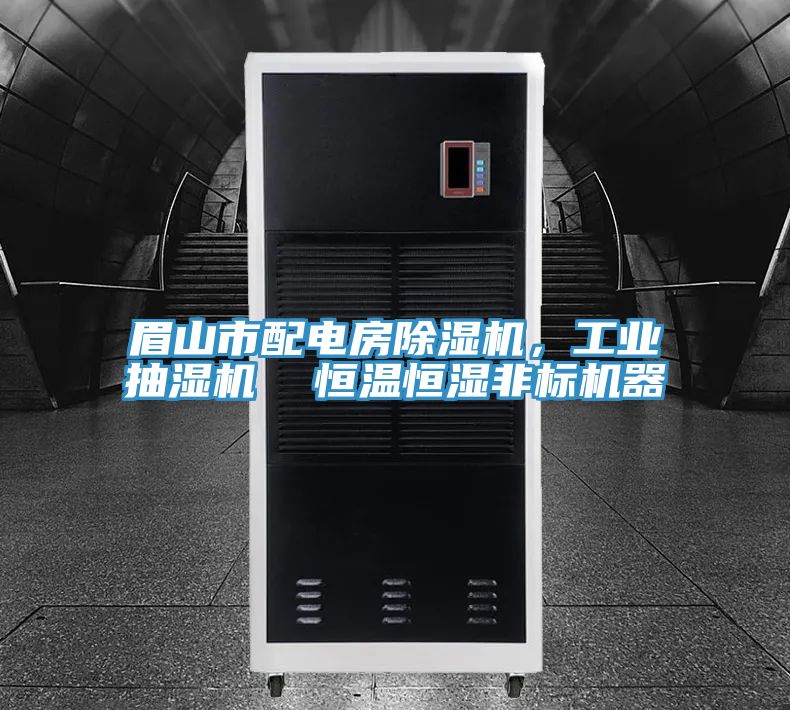 眉山市配電房除濕機，工業(yè)抽濕機  恒溫恒濕非標機器