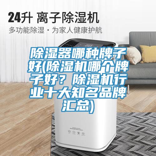 除濕器哪種牌子好(除濕機哪個牌子好？除濕機行業(yè)十大知名品牌匯總)