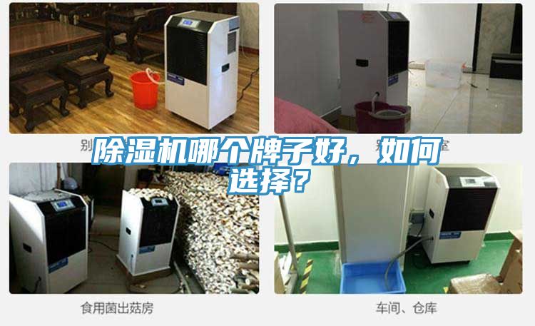 除濕機哪個牌子好，如何選擇？