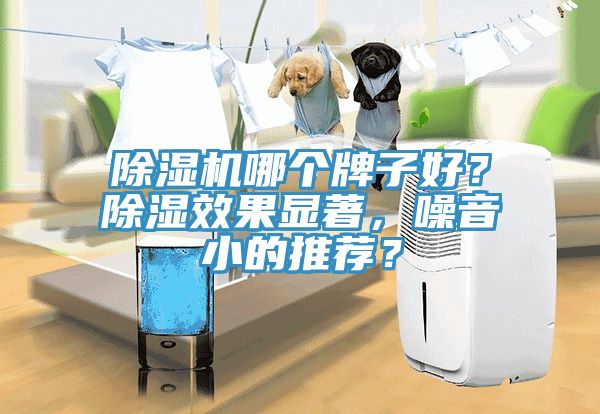 除濕機(jī)哪個(gè)牌子好？除濕效果顯著，噪音小的推薦？