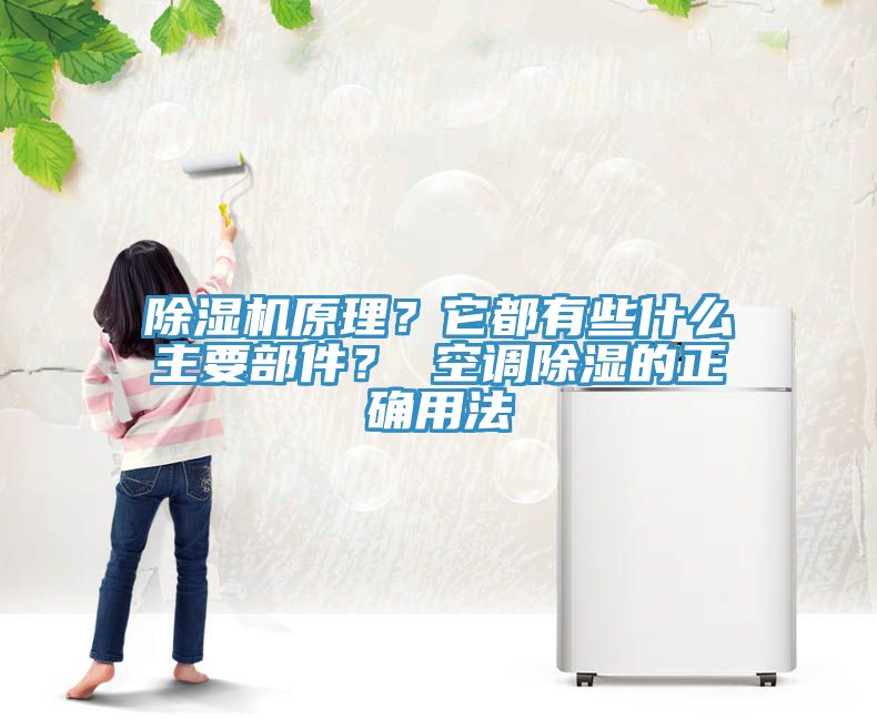 除濕機(jī)原理？它都有些什么主要部件？ 空調(diào)除濕的正確用法