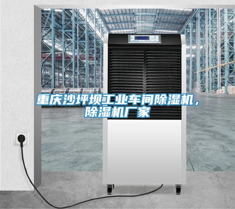 重慶沙坪壩工業(yè)車間除濕機，除濕機廠家