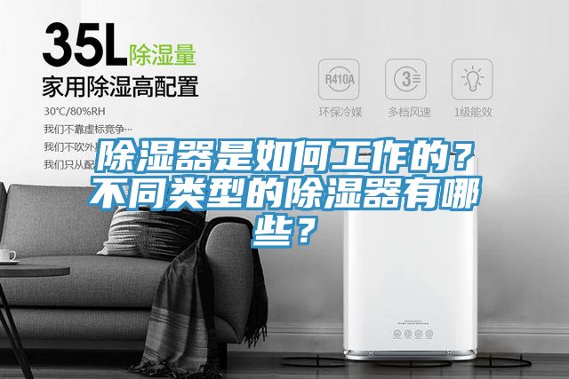 除濕器是如何工作的？不同類型的除濕器有哪些？