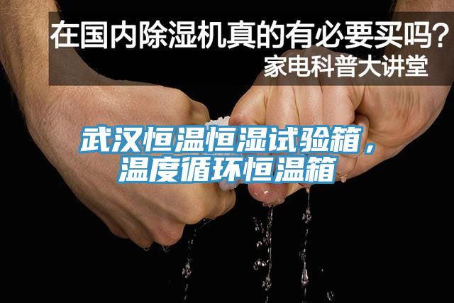 武漢恒溫恒濕試驗(yàn)箱，溫度循環(huán)恒溫箱