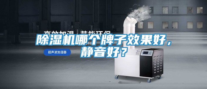 除濕機(jī)哪個(gè)牌子效果好，靜音好？