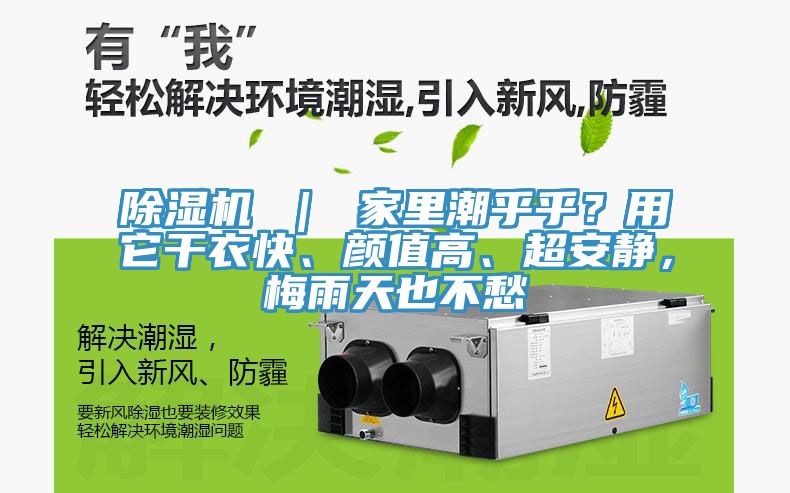 除濕機 ｜ 家里潮乎乎？用它干衣快、顏值高、超安靜，梅雨天也不愁