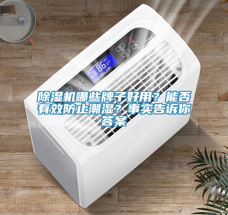 除濕機哪些牌子好用？能否有效防止潮濕？事實告訴你答案