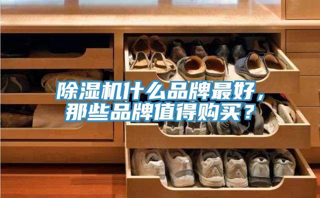 除濕機什么品牌最好，那些品牌值得購買？