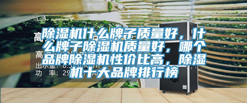 除濕機(jī)什么牌子質(zhì)量好，什么牌子除濕機(jī)質(zhì)量好，哪個(gè)品牌除濕機(jī)性價(jià)比高，除濕機(jī)十大品牌排行榜