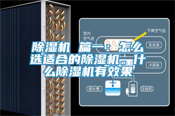 除濕機 篇一：怎么選適合的除濕機。什么除濕機有效果