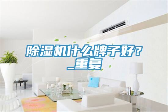 除濕機(jī)什么牌子好？_重復(fù)