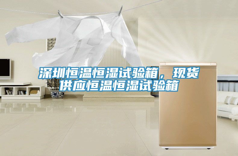 深圳恒溫恒濕試驗(yàn)箱，現(xiàn)貨供應(yīng)恒溫恒濕試驗(yàn)箱