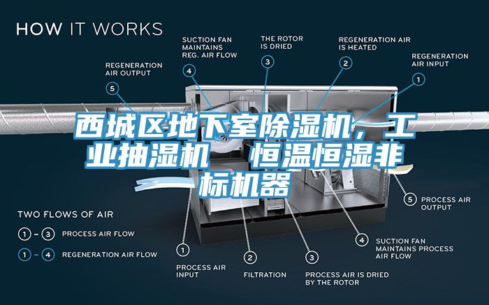 西城區(qū)地下室除濕機(jī)，工業(yè)抽濕機(jī)  恒溫恒濕非標(biāo)機(jī)器