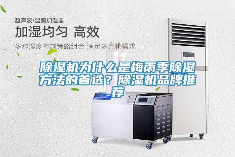 除濕機(jī)為什么是梅雨季除濕方法的首選？除濕機(jī)品牌推薦