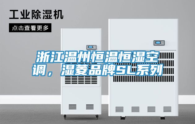 浙江溫州恒溫恒濕空調(diào)，濕菱品牌SL系列