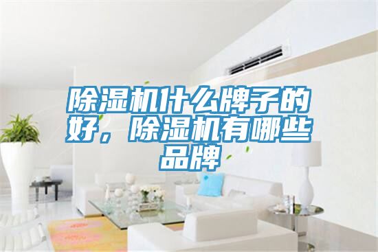 除濕機(jī)什么牌子的好，除濕機(jī)有哪些品牌