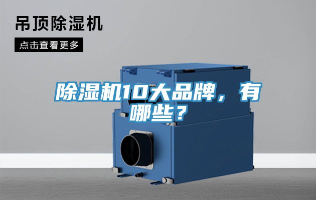 除濕機10大品牌，有哪些？