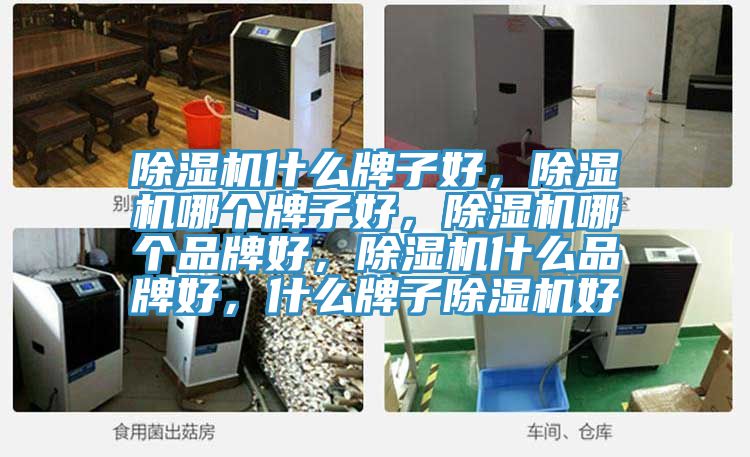 除濕機(jī)什么牌子好，除濕機(jī)哪個(gè)牌子好，除濕機(jī)哪個(gè)品牌好，除濕機(jī)什么品牌好，什么牌子除濕機(jī)好