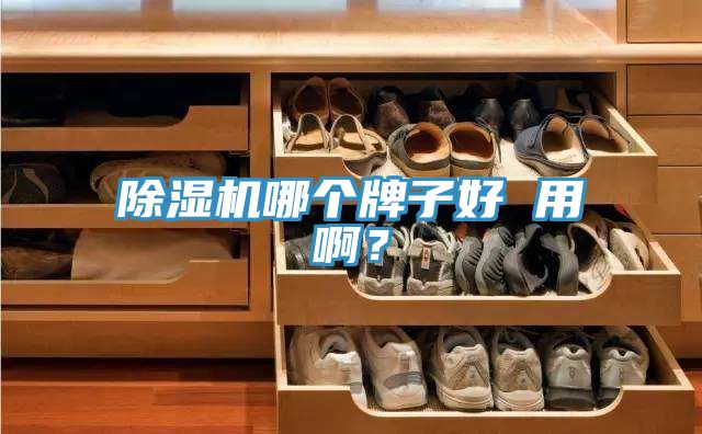 除濕機(jī)哪個(gè)牌子好 用?。?></div>
								<div   id=
