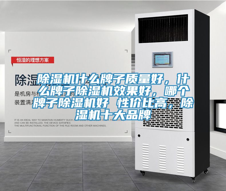 除濕機(jī)什么牌子質(zhì)量好，什么牌子除濕機(jī)效果好，哪個(gè)牌子除濕機(jī)好 性價(jià)比高，除濕機(jī)十大品牌