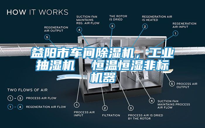 益陽市車間除濕機，工業(yè)抽濕機  恒溫恒濕非標(biāo)機器