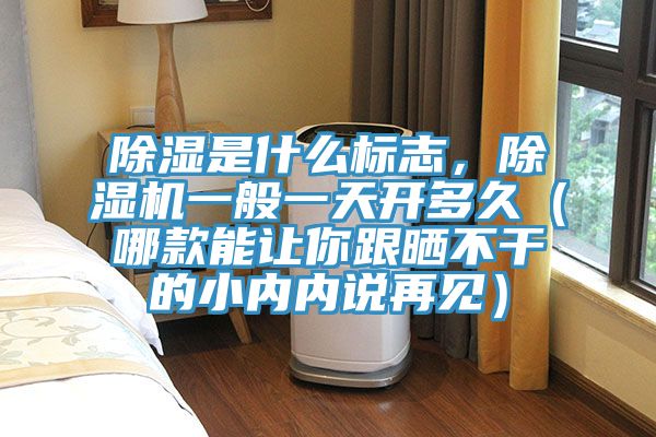 除濕是什么標志，除濕機一般一天開多久（哪款能讓你跟曬不干的小內(nèi)內(nèi)說再見）