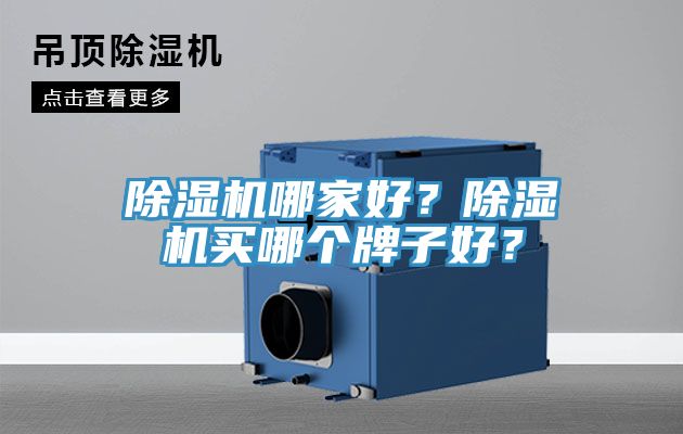 除濕機哪家好？除濕機買哪個牌子好？