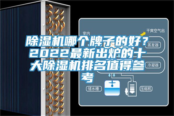 除濕機哪個牌子的好？2022最新出爐的十大除濕機排名值得參考