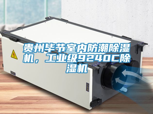 貴州畢節(jié)室內(nèi)防潮除濕機(jī)，工業(yè)級9240C除濕機(jī)