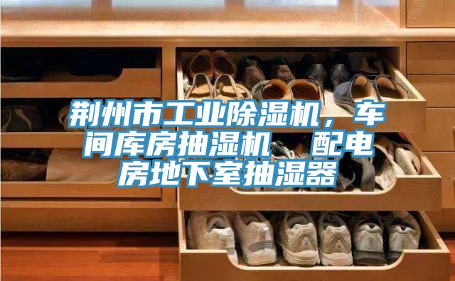 荊州市工業(yè)除濕機，車間庫房抽濕機  配電房地下室抽濕器
