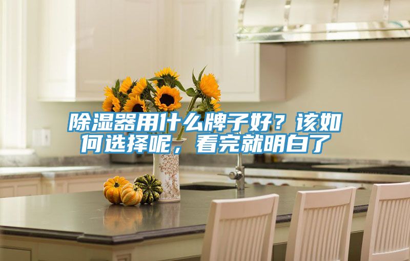 除濕器用什么牌子好？該如何選擇呢，看完就明白了