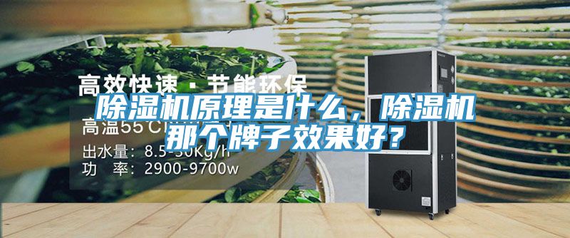 除濕機(jī)原理是什么，除濕機(jī)那個牌子效果好？