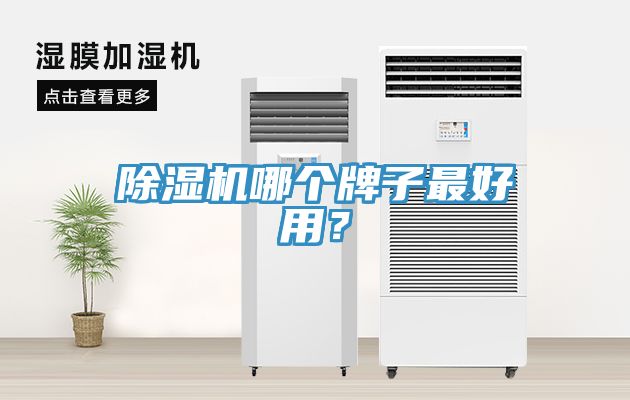 除濕機(jī)哪個(gè)牌子最好用？