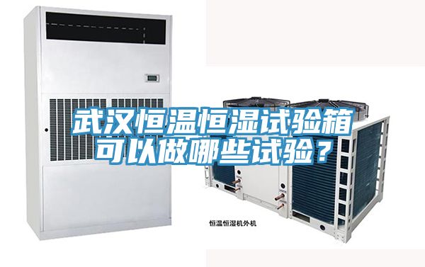 武漢恒溫恒濕試驗(yàn)箱可以做哪些試驗(yàn)？