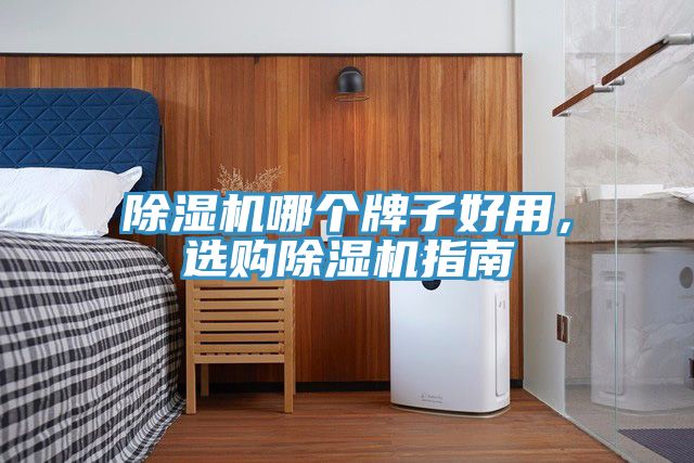 除濕機(jī)哪個(gè)牌子好用，選購除濕機(jī)指南