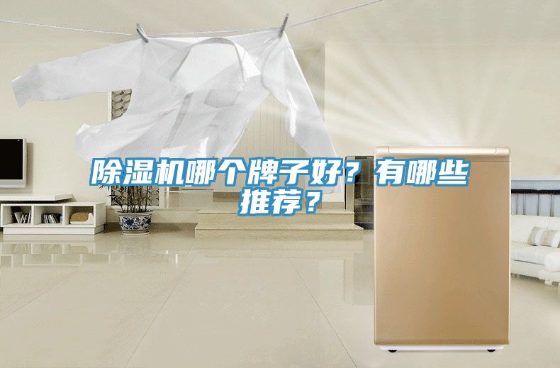 除濕機哪個牌子好？有哪些推薦？