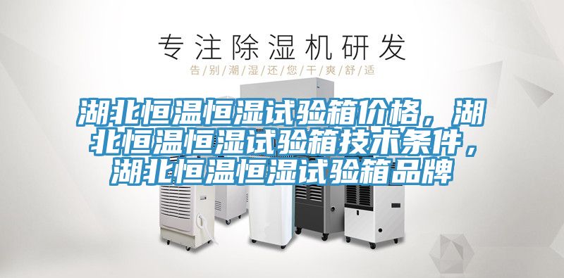 湖北恒溫恒濕試驗(yàn)箱價(jià)格，湖北恒溫恒濕試驗(yàn)箱技術(shù)條件，湖北恒溫恒濕試驗(yàn)箱品牌