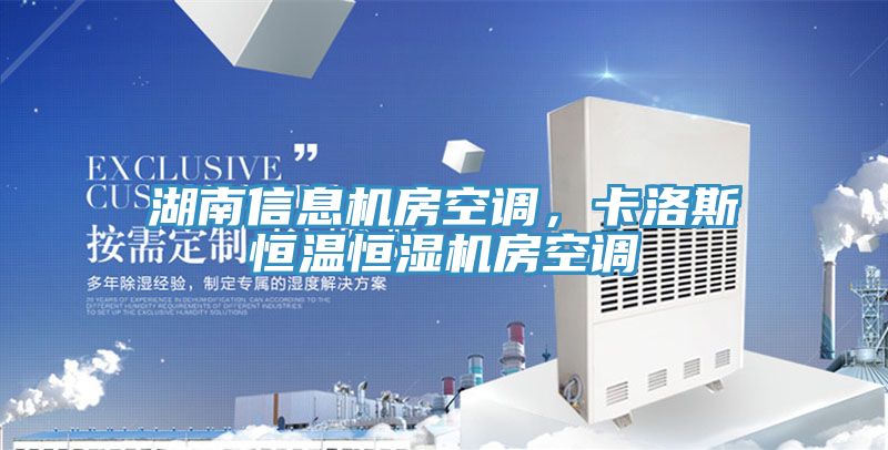 湖南信息機(jī)房空調(diào)，卡洛斯恒溫恒濕機(jī)房空調(diào)