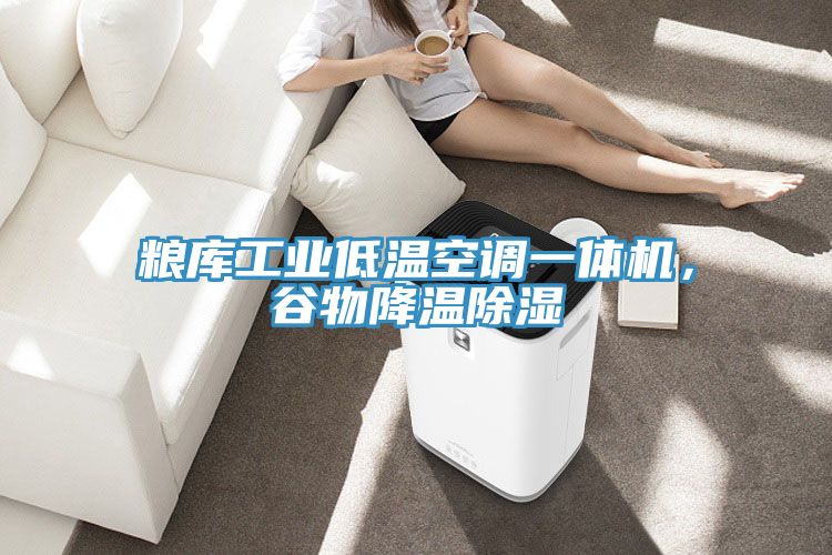 糧庫工業(yè)低溫空調(diào)一體機，谷物降溫除濕