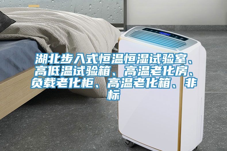 湖北步入式恒溫恒濕試驗(yàn)室、高低溫試驗(yàn)箱、高溫老化房、負(fù)載老化柜、高溫老化箱、非標(biāo)