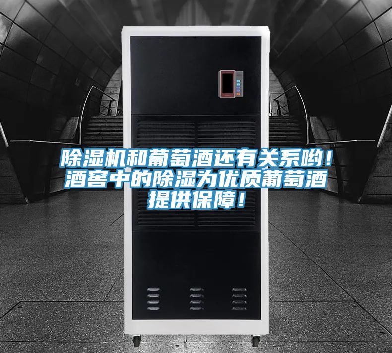 除濕機(jī)和葡萄酒還有關(guān)系喲！酒窖中的除濕為優(yōu)質(zhì)葡萄酒提供保障！