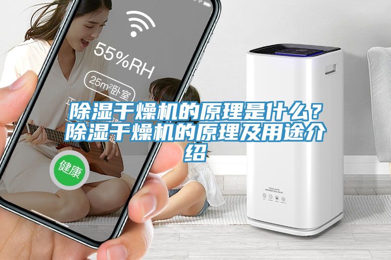 除濕干燥機(jī)的原理是什么？除濕干燥機(jī)的原理及用途介紹