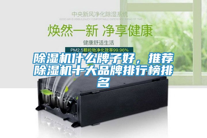 除濕機(jī)什么牌子好，推薦除濕機(jī)十大品牌排行榜排名