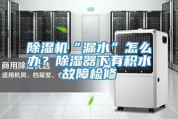 除濕機(jī)“漏水”怎么辦？除濕器下有積水故障檢修
