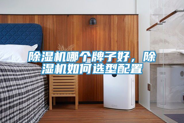 除濕機哪個牌子好，除濕機如何選型配置