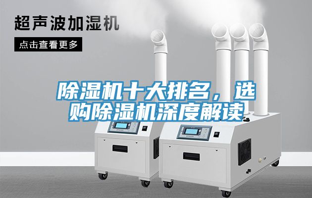 除濕機(jī)十大排名，選購除濕機(jī)深度解讀