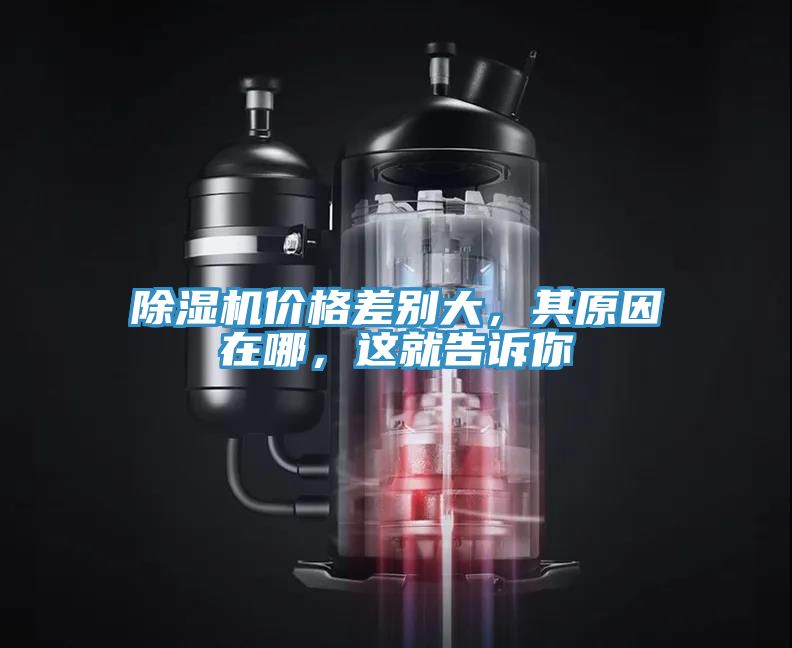 除濕機(jī)價(jià)格差別大，其原因在哪，這就告訴你
